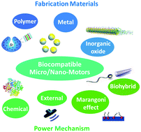 Graphical abstract: Biocompatibility of artificial micro/nanomotors for use in biomedicine