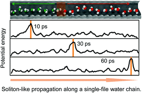 Graphical abstract: Soliton-like propagation of dipole reorientation in confined single-file water chains