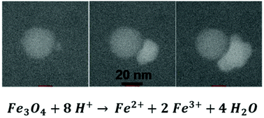 Graphical abstract: Observing the colloidal stability of iron oxide nanoparticles in situ