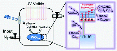 Graphical abstract: Self-Z-scheme plasmonic tungsten oxide nanowires for boosting ethanol dehydrogenation under UV-visible light irradiation