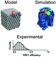 Graphical abstract: Single molecule analysis of structural fluctuations in DNA nanostructures