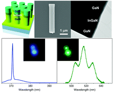 Graphical abstract: Dual wavelength lasing of InGaN/GaN axial-heterostructure nanorod lasers