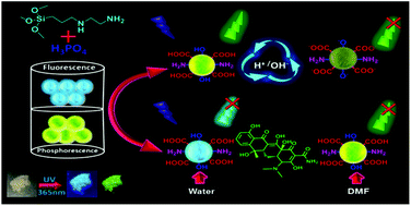 Graphical abstract: Ultra-long room-temperature phosphorescent carbon dots: pH sensing and dual-channel detection of tetracyclines