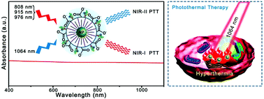 Graphical abstract: A full-spectrum-absorption from nickel sulphide nanoparticles for efficient NIR-II window photothermal therapy