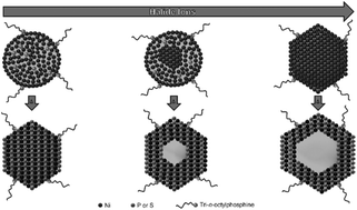 Graphical abstract: Halide ion influence on the formation of nickel nanoparticles and their conversion into hollow nickel phosphide and sulphide nanocrystals