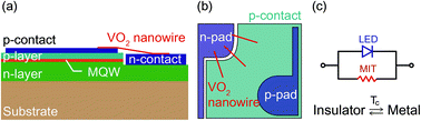 Graphical abstract: Self-protective GaInN-based light-emitting diodes with VO2 nanowires