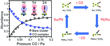 Graphical abstract: Altering CO binding on gold cluster cations by Pd-doping