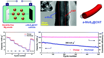 Graphical abstract: a-MoS3@CNT nanowire cathode for rechargeable Mg batteries: a pseudocapacitive approach for efficient Mg-storage
