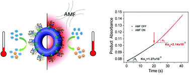 Graphical abstract: Remote and real time control of an FVIO–enzyme hybrid nanocatalyst using magnetic stimulation