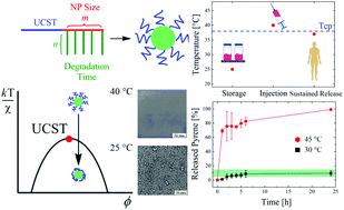 Graphical abstract: Biodegradable zwitterionic nanoparticles with tunable UCST-type phase separation under physiological conditions