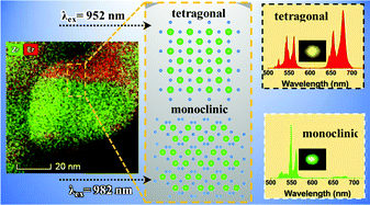 Graphical abstract: Imaging dopant distribution across complete phase transformation by TEM and upconversion emission