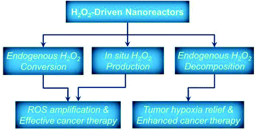 Graphical abstract: Fabrication of H2O2-driven nanoreactors for innovative cancer treatments