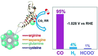 Graphical abstract: Biosynthesized silver nanorings as a highly efficient and selective electrocatalysts for CO2 reduction
