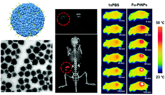 Graphical abstract: Fucoidan-coated coral-like Pt nanoparticles for computed tomography-guided highly enhanced synergistic anticancer effect against drug-resistant breast cancer cells