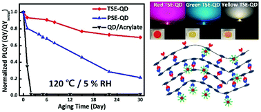 Graphical abstract: Exceptionally stable quantum dot/siloxane hybrid encapsulation material for white light-emitting diodes with a wide color gamut