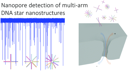 Graphical abstract: Fast capture and multiplexed detection of short multi-arm DNA stars in solid-state nanopores