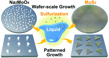 Graphical abstract: Wafer-scale and deterministic patterned growth of monolayer MoS2via vapor–liquid–solid method