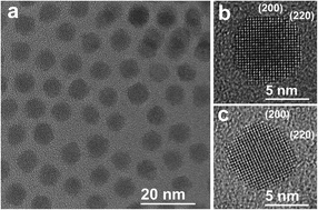 Graphical abstract: Controlling dissolution of PbTe nanoparticles in organic solvents during liquid cell transmission electron microscopy