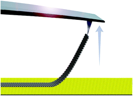 Graphical abstract: Modeling nanoribbon peeling