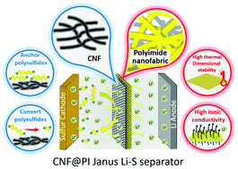 Graphical abstract: A Janus nanofiber-based separator for trapping polysulfides and facilitating ion-transport in lithium–sulfur batteries