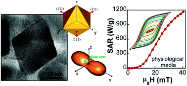 Graphical abstract: Outstanding heat loss via nano-octahedra above 20 nm in size: from wustite-rich nanoparticles to magnetite single-crystals