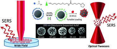 Graphical abstract: Preparation of polymer gold nanoparticle composites with tunable plasmon coupling and their application as SERS substrates