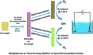 Graphical abstract: Inception of molybdate as a “pore forming additive” to enhance the bifunctional electrocatalytic activity of nickel and cobalt based mixed hydroxides for overall water splitting