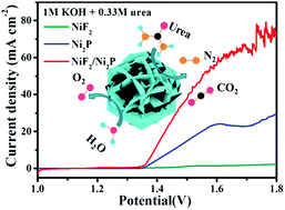 Graphical abstract: Bonding state synergy of the NiF2/Ni2P hybrid with the co-existence of covalent and ionic bonds and the application of this hybrid as a robust catalyst for the energy-relevant electrooxidation of water and urea