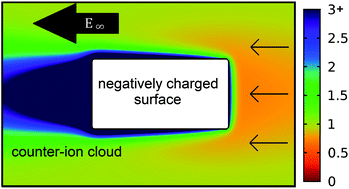 Graphical abstract: Biphasic signals during nanopore translocation of DNA and nanoparticles due to strong ion cloud deformation