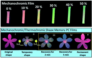 Graphical abstract: Mechanochromic and thermochromic shape memory photonic crystal films based on core/shell nanoparticles for smart monitoring