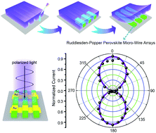 Graphical abstract: Template-confined growth of Ruddlesden–Popper perovskite micro-wire arrays for stable polarized photodetectors