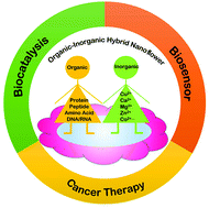 Graphical abstract: Organic–inorganic nanoflowers: from design strategy to biomedical applications