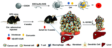 Graphical abstract: Development of multi-drug loaded PEGylated nanodiamonds to inhibit tumor growth and metastasis in genetically engineered mouse models of pancreatic cancer