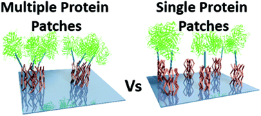 Graphical abstract: Single molecule protein patterning using hole mask colloidal lithography