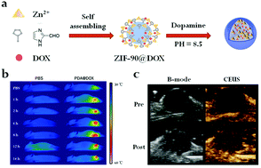 Graphical abstract: One-pot synthesis of hollow PDA@DOX nanoparticles for ultrasound imaging and chemo-thermal therapy in breast cancer