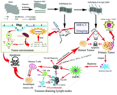Graphical abstract: Tumor microenvironment responsive FePt/MoS2 nanocomposites with chemotherapy and photothermal therapy for enhancing cancer immunotherapy