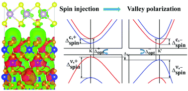 Graphical abstract: Spin polarization and tunable valley degeneracy in a MoS2 monolayer via proximity coupling to a Cr2O3 substrate