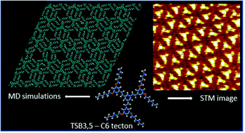 Graphical abstract: Computer modeling of 2D supramolecular nanoporous monolayers self-assembled on graphite