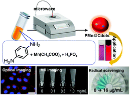 Graphical abstract: A carbon dot based theranostic platform for dual-modal imaging and free radical scavenging