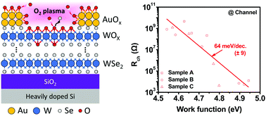 Graphical abstract: The device level modulation of carrier transport in a 2D WSe2 field effect transistor via a plasma treatment