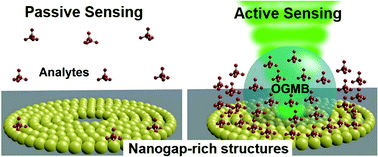 Graphical abstract: Optothermal microbubble assisted manufacturing of nanogap-rich structures for active chemical sensing