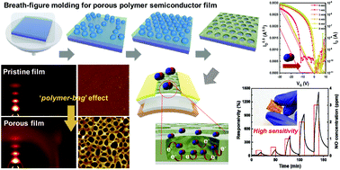 Graphical abstract: Polymer-based flexible NOx sensors with ppb-level detection at room temperature using breath-figure molding