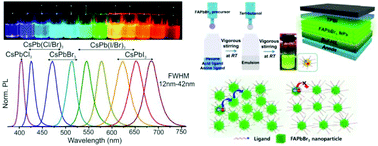 Graphical abstract: Perovskite quantum dots for light-emitting devices