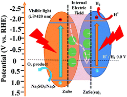 Graphical abstract: Atomically thin two-dimensional ZnSe/ZnSe(ea)x van der Waals nanojunctions for synergistically enhanced visible light photocatalytic H2 evolution