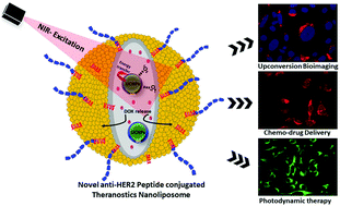 Graphical abstract: Novel anti-HER2 peptide-conjugated theranostic nanoliposomes combining NaYF4:Yb,Er nanoparticles for NIR-activated bioimaging and chemo-photodynamic therapy against breast cancer