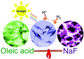Graphical abstract: Fluorine-assisted structural engineering of colloidal anatase TiO2 hierarchical nanocrystals for enhanced photocatalytic hydrogen production
