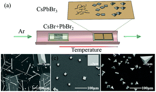 Graphical abstract: All-inorganic perovskite CsPbBr3 microstructures growth via chemical vapor deposition for high-performance photodetectors