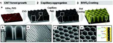 Graphical abstract: Honeycomb-shaped carbon nanotube supports for BiVO4 based solar water splitting
