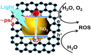 Graphical abstract: Photocatalytic activity of exfoliated graphite–TiO2 nanoparticle composites