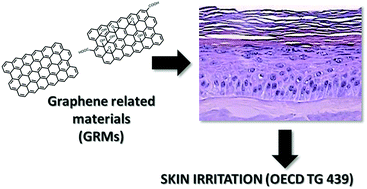 Graphical abstract: Skin irritation potential of graphene-based materials using a non-animal test